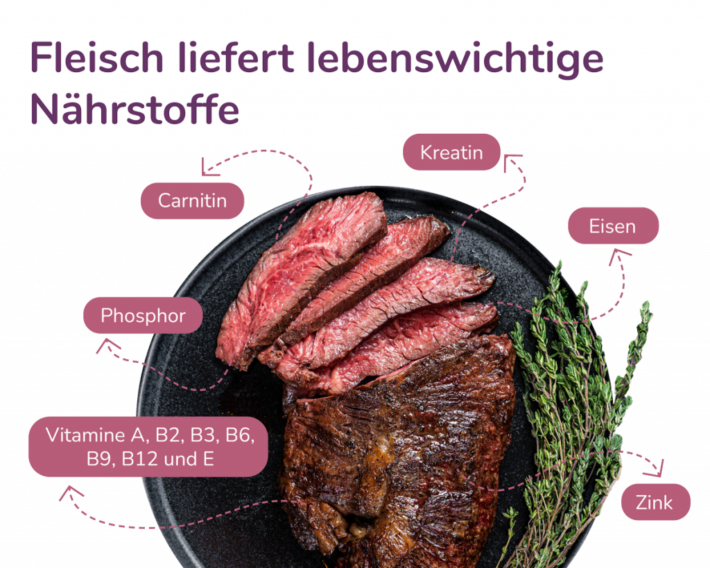 Fleisch liefert lebenswichtige Närstoffe Vitamine und Mineralstoffe: Fleisch liefert uns umfänglich und zuverlässig lebenswichtige Nährstoffe, die optimal oder zum Teil nur über Fleisch aufgenommen werden können.